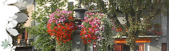 Fontaine de Maurs Fontaine de Maurs