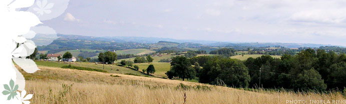 Paysage Maursois