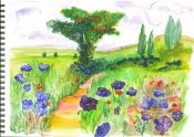 fleurs des champs