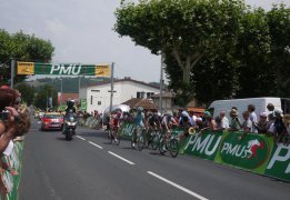 tdf8