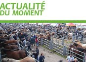 Actualité du moment